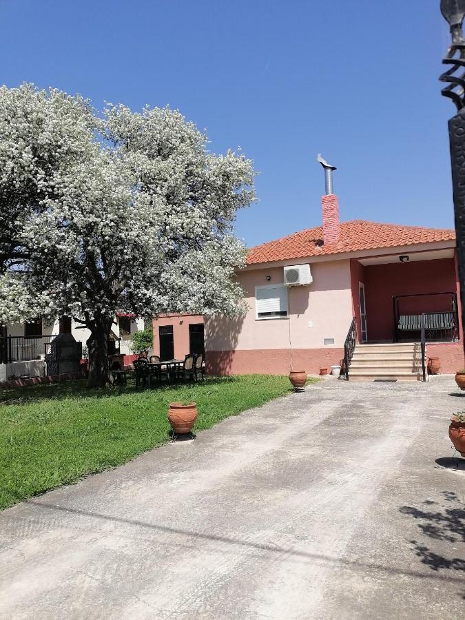 Αξέχαστη Διαμονή - Unforgettable Accommodation Nea Kallikrateia Exterior photo